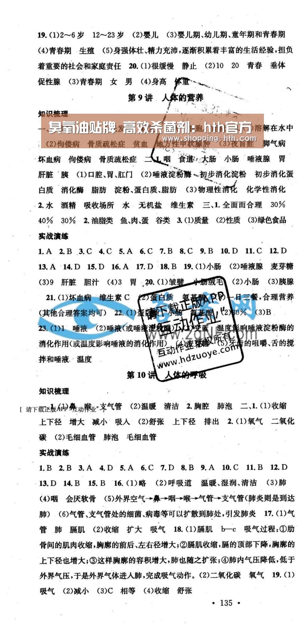臭氧油贴牌 高效杀菌剂：hth官方